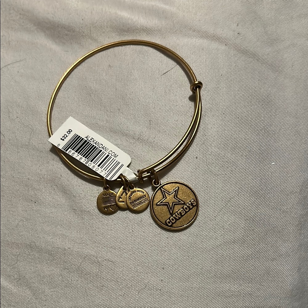 Alex and Ani Gold Charm Bracelet